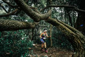 BIB: 
                            <button type="button" onclick="openModal(25705469)" class="btn btn-primary btn-sm float-right btn-popup" data-toggle="modal" data-target=".modal-high-quality">
                        <i class="fas fa-shopping-cart"></i> Add to Cart
                    </button>
                                            <button type="button" onclick="isThisMe(25705469, true)" class="btn btn-success btn-sm float-right btn-popup btn-isme hidden" data-toggle="tooltip" data-placement="bottom" title="นี่คือรูปของคุณใช่ไหม คลิกที่นี่เพื่อเอาเข้าอัลบั้ม">
                        <i class="fas fa-plus"></i> Add to album
                    </button>
                    <button type="button" onclick="isThisMe(25705469, false)" class="btn btn-warning btn-sm float-right btn-popup btn-isnotme hidden">
                        <i class="fas fa-ban"></i> Remove from album
                    </button>